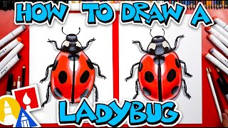 How To Draw A Realistic Ladybug [upl. by Yhtommit]