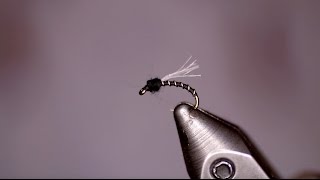 Fly Tying UV Midge Emerger [upl. by Previdi]