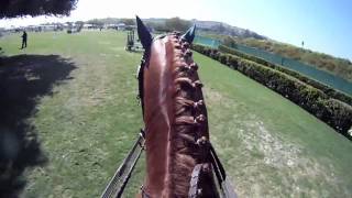 GoPro Horse Show Jumping [upl. by Denney]