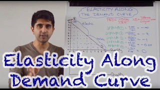 Y1 42 Elasticity Along The Demand Curve [upl. by Weatherby]