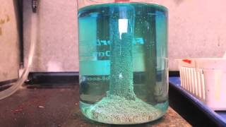 Silver Production from Silver Nitrate using a Copper Pipe [upl. by Ocirederf]