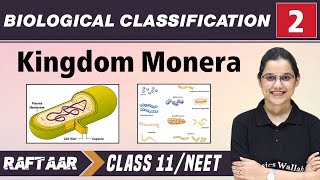 Biological Classification 02  Kingdom Monera  Class 11NEET  RAFTAAR [upl. by Jennee]