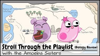 Stroll Through the Playlist a Biology Review [upl. by Hsihsa]