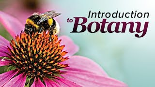 Plant Science An Introduction to Botany  Wondrium [upl. by Anaahs403]