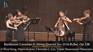 Beethoven Cavatina from String Quartet No 13 in Bflat Op 130 [upl. by Eedak]