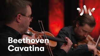 Beethoven Cavatina from String Quartet No13 [upl. by Hittel]