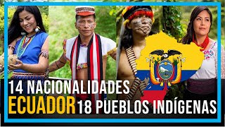 PUEBLOS Y NACIONALIDADES INDÍGENAS DEL ECUADOR [upl. by Alroy]