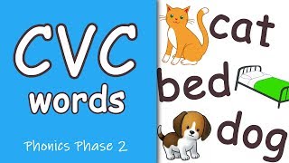 CVC Words  Phonics Phase 2 [upl. by Neelrihs408]