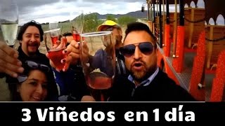 Los viñedos de Querétaro que debes conocer Ruta del Vino [upl. by Burnie956]