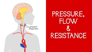 42 Cardiovascular Pressure Flow and Resistance [upl. by Takken]