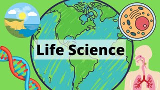 A Year of Life Science in 3 Minutes [upl. by Marih]