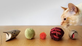 5 Easy Cat Toys Under 3 Minutes [upl. by Valerle]