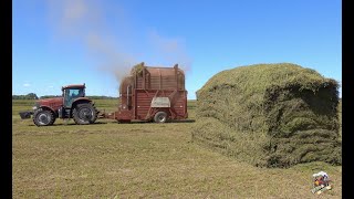 Stacking Hay in South Dakota HESSTON STAKHAND [upl. by Silvestro]