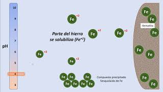 Cap103 Deficiencias nutricionales en las plantas [upl. by Nena]