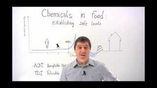 Chemicals in food establishing safe levels [upl. by Munn]