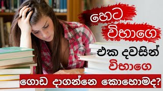 How to study for exams 1 DAY  Exam Study Tips for Students  Study tips in Sinhala revision tips [upl. by Amat]