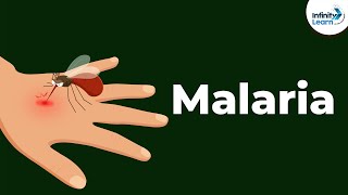 Malaria and Life Cycle of Plasmodium  Diseases  Infinity Learn NEET [upl. by Salomo885]