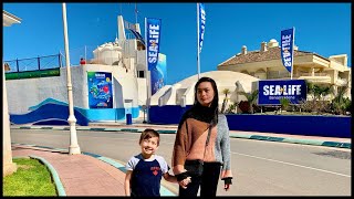 Sea Life Benalmadena Spain 2022 [upl. by Animsay67]