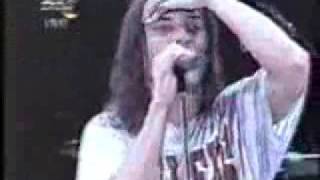 Ugly Kid Joe Live Performance [upl. by Couture]