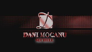 Dani Mocanu  Sechele  Official Audio [upl. by Nicholle]