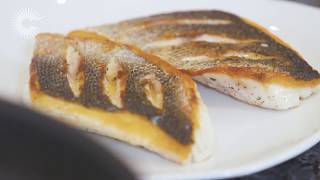 How to PanFry Seabass [upl. by Tobey]