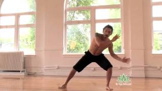 Introduction to Capoeira [upl. by Sybila]