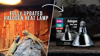 THE BEST HALOGEN Flood Heat Lamps Arcadia Reptile [upl. by Ilyssa65]