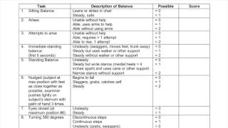 Functional Exam  Tinetti Performance Oriented Mobility Assessment [upl. by Onailerua136]