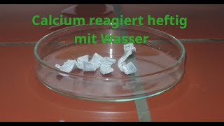 Calcium reagiert mit Wasser [upl. by Aniat724]