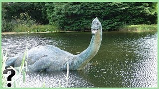 What If The Plesiosaurus Didnt Go Extinct [upl. by Cleo]