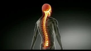 Paraplegic Info  What is Paraplegia [upl. by Sterne]