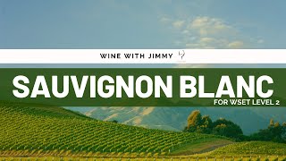 Beginners guide to Sauvignon Blanc for WSET Level 2 [upl. by Septima]