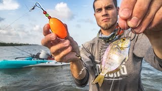 fishing with LIVE PINFISH and popping cork [upl. by Aerised952]