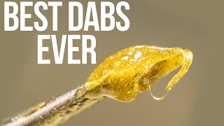 HOW TO MAKE THE BEST TASTING DABS EVER [upl. by Notreve]