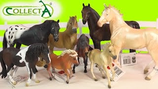 CollectA Horses Mare Foal Pony Stallion Horse Unboxing Review Video HoneyheartsC [upl. by Kciredorb]