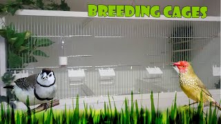 How To Build a Finch  Canary Breeding Cages The Bird Gallery [upl. by Anairo481]