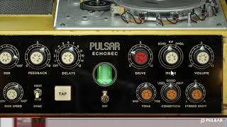 Pulsar Echorec  Demo  Feature Overview [upl. by Beeck]