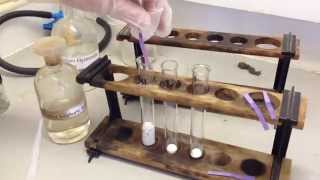 Testing for Halide Ions Experiment and Explanations ALevel Chemistry Practical [upl. by Jallier]