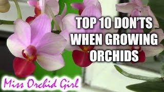 Top 10 DONTs when Growing Orchids  tips for orchid beginners [upl. by Ear]