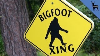 BIGFOOT IS REAL [upl. by Sprung761]