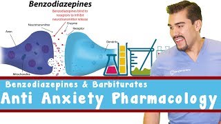 Anti Anxiety Pharmacology Benzodiazepines and Barbiturates [upl. by Hershell]