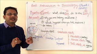 Pharmacokinetic and Pharmacodynamic  General Pharmacology  General Pharmacology  ADME Concepts [upl. by Ylrebmit231]