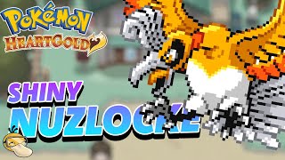 LIVE Shiny ONLY NUZLOCKE  Pokemon HeartGold shorts [upl. by Cox]