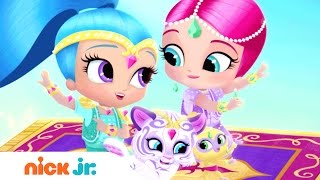 Shimmer und Shine  Germany  Offizieller Titelsong  Nick Jr auf Deutsch [upl. by Foushee]