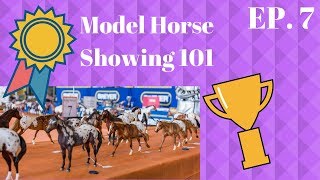 Breyer Horse Showing 101  An Introduction for Beginners [upl. by Cicely]