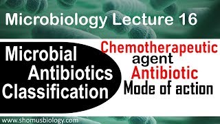 Chemotherapeutic agents microbiology [upl. by Heath]