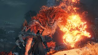 Sekiro Demon of Hatred Secret Boss Fight [upl. by Alleon382]