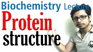 Protein structure  primary secondary tertiary and quaternary structure of protein [upl. by Bigot804]