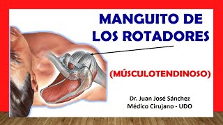 🥇 Anatomía del MANGUITO ROTADOR Fácil y Rápida [upl. by Atcele]