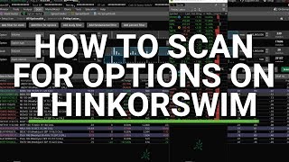 Tutorial  How to Scan for Options on Thinkorswim [upl. by Aihsenyt]